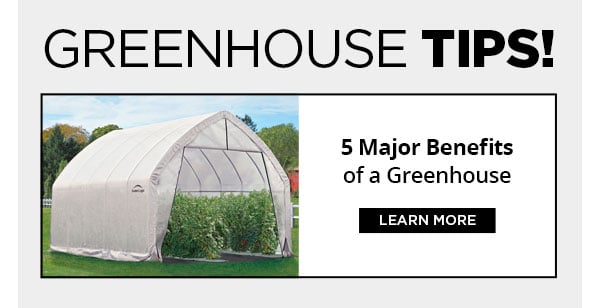 Greenhouse Tips